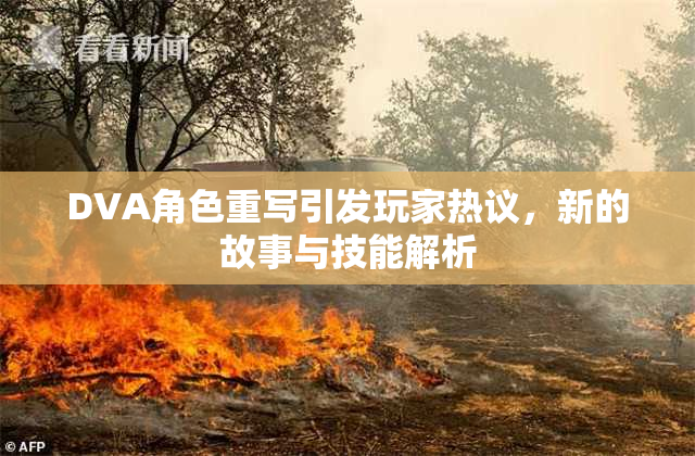 DVA角色重写引发玩家热议，新的故事与技能解析