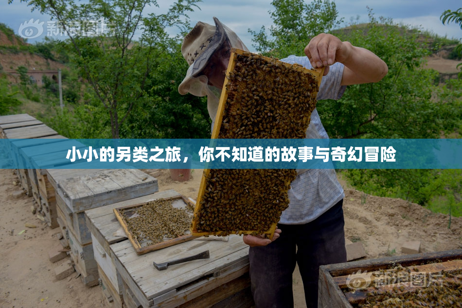 小小的另类之旅，你不知道的故事与奇幻冒险
