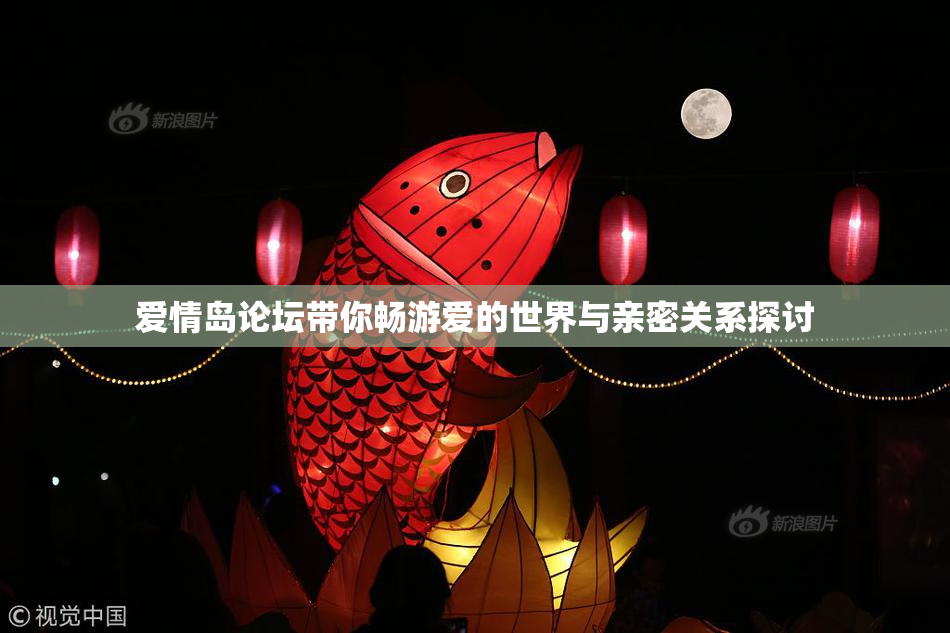 爱情岛论坛带你畅游爱的世界与亲密关系探讨