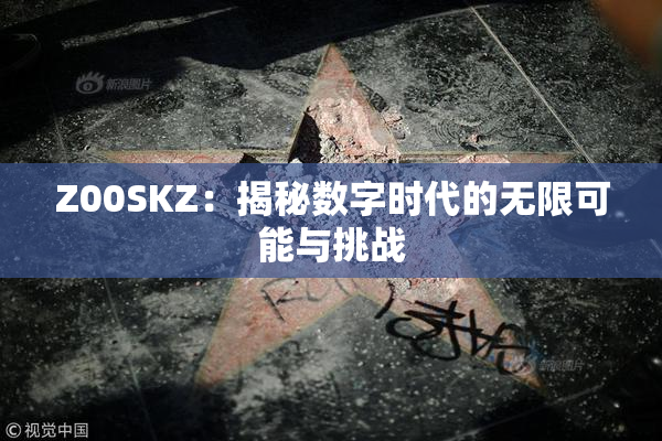Z00SKZ：揭秘数字时代的无限可能与挑战