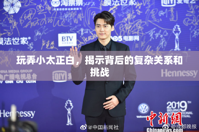 玩弄小太正白，揭示背后的复杂关系和挑战