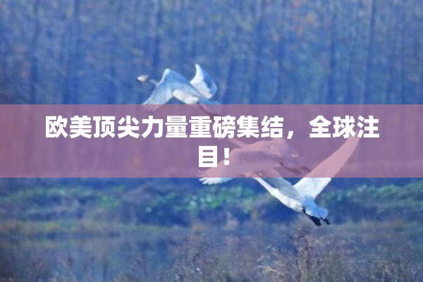 欧美顶尖力量重磅集结，全球注目！