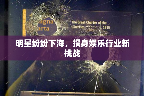 明星纷纷下海，投身娱乐行业新挑战