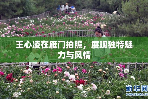 王心凌在雁门拍照，展现独特魅力与风情