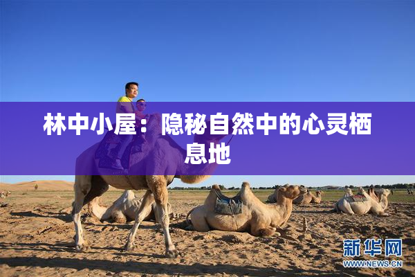 林中小屋：隐秘自然中的心灵栖息地