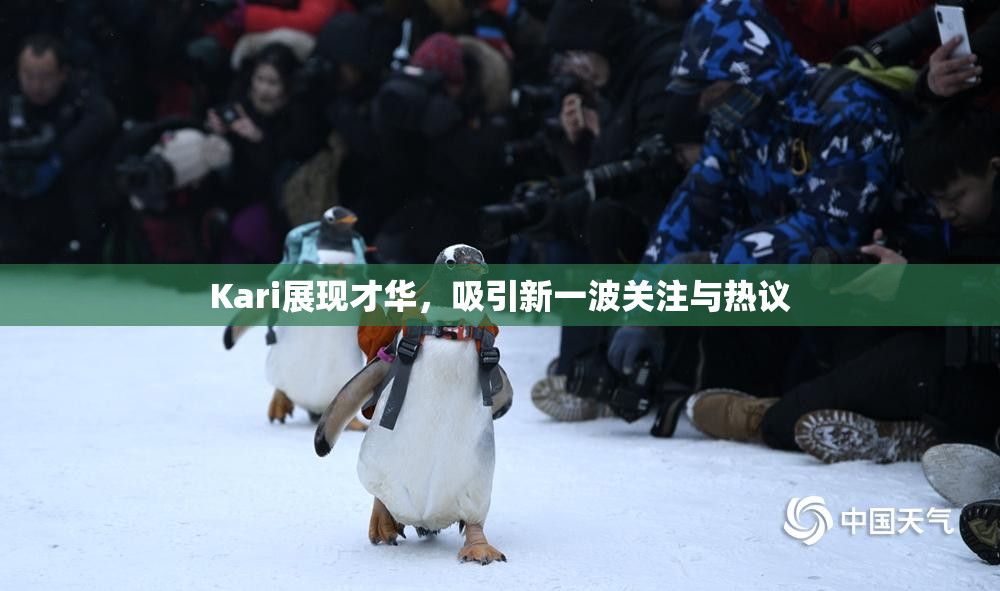 Kari展现才华，吸引新一波关注与热议