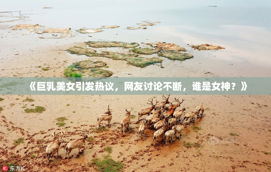 《巨乳美女引发热议，网友讨论不断，谁是女神？》