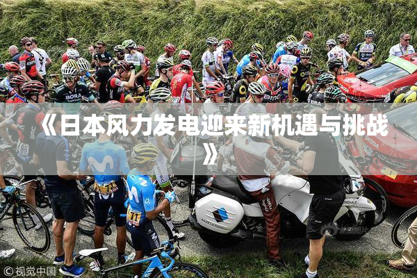 《日本风力发电迎来新机遇与挑战》