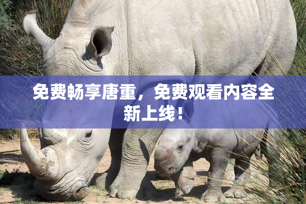 免费畅享唐重，免费观看内容全新上线！