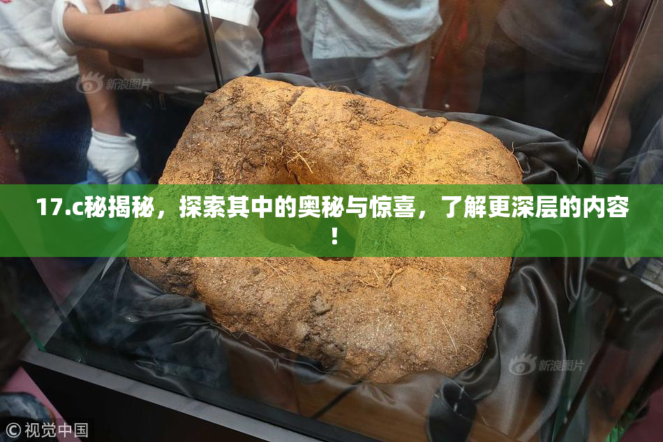 17.c秘揭秘，探索其中的奥秘与惊喜，了解更深层的内容！