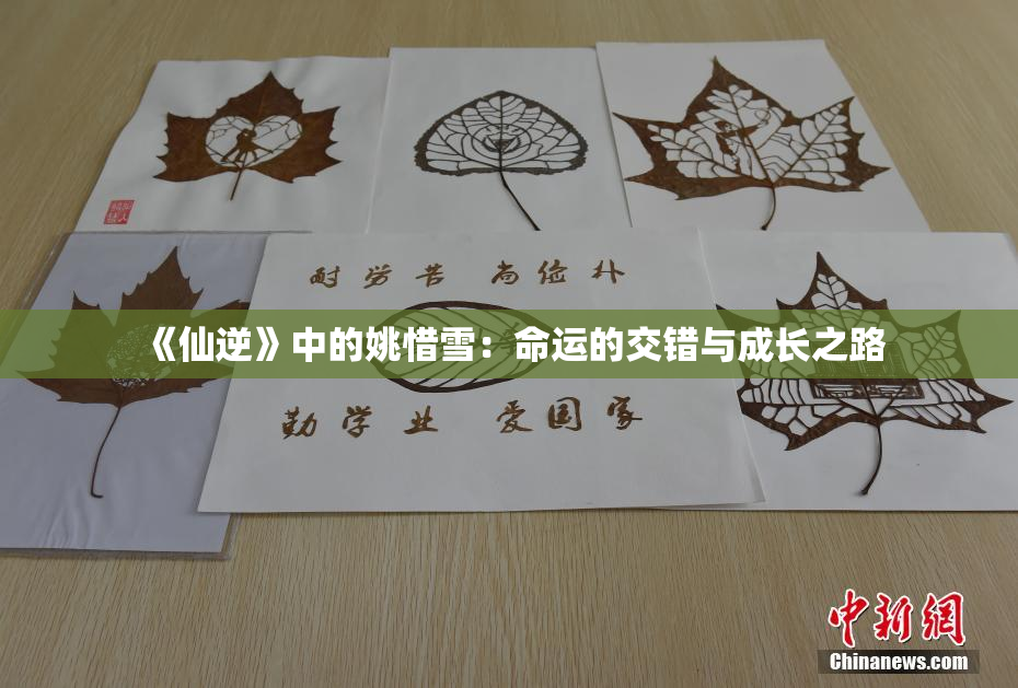 《仙逆》中的姚惜雪：命运的交错与成长之路