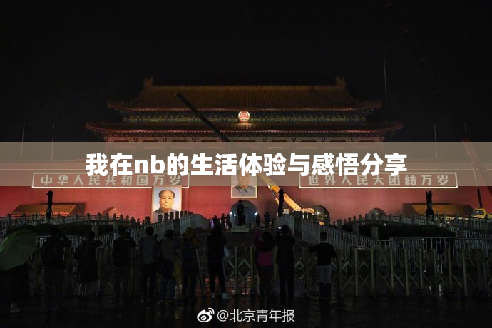 我在nb的生活体验与感悟分享