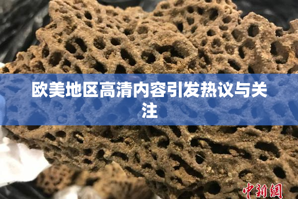 欧美地区高清内容引发热议与关注
