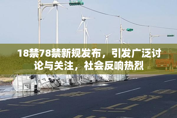 18禁78禁新规发布，引发广泛讨论与关注，社会反响热烈