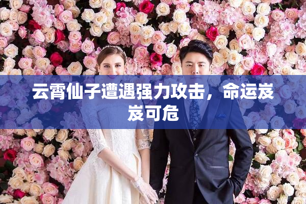 云霄仙子遭遇强力攻击，命运岌岌可危