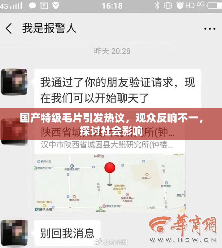 国产特级毛片引发热议，观众反响不一，探讨社会影响