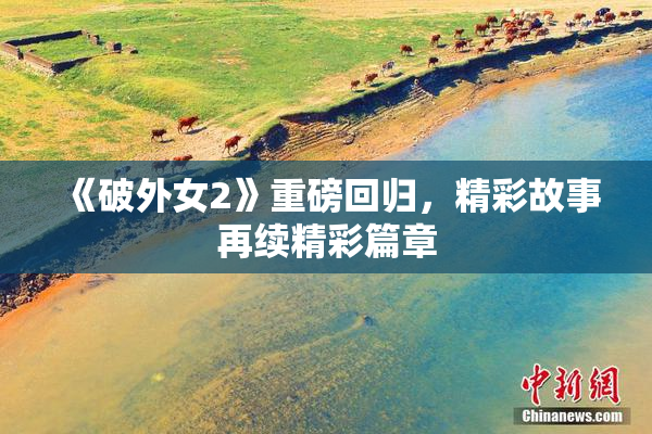 《破外女2》重磅回归，精彩故事再续精彩篇章