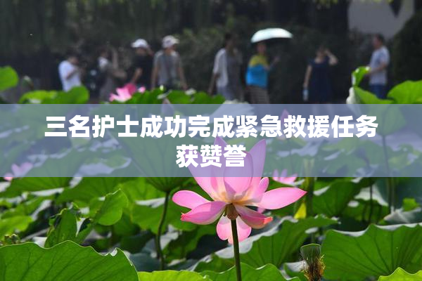 三名护士成功完成紧急救援任务获赞誉