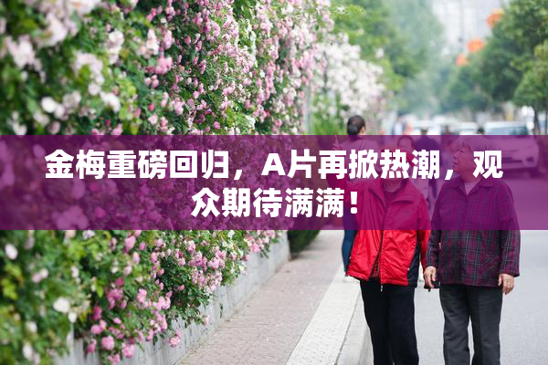 金梅重磅回归，A片再掀热潮，观众期待满满！