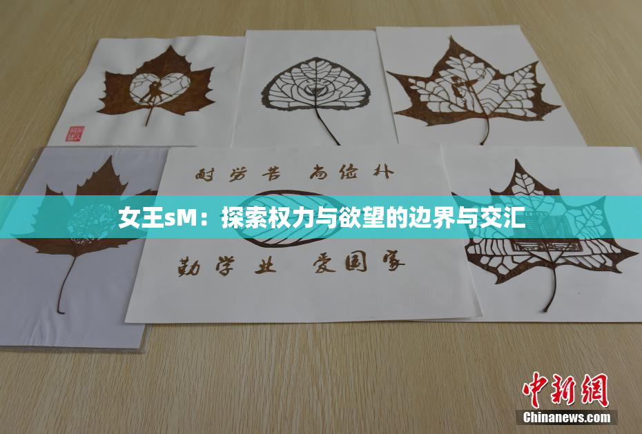 女王sM：探索权力与欲望的边界与交汇