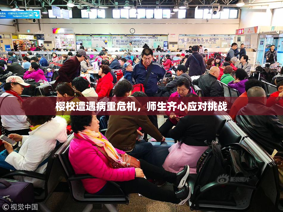 樱校遭遇病重危机，师生齐心应对挑战