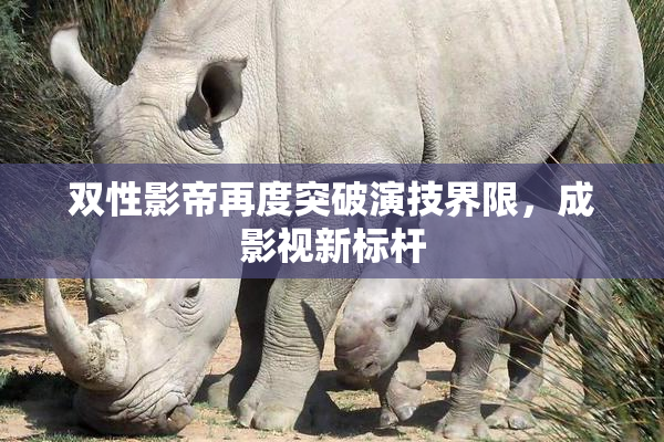 双性影帝再度突破演技界限，成影视新标杆