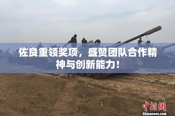 佐良重领奖项，盛赞团队合作精神与创新能力！