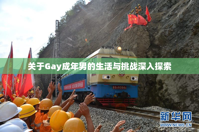 关于Gay成年男的生活与挑战深入探索