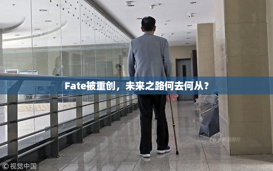 Fate被重创，未来之路何去何从？