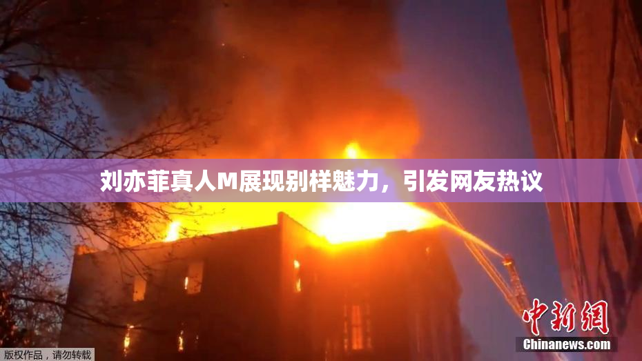 刘亦菲真人M展现别样魅力，引发网友热议