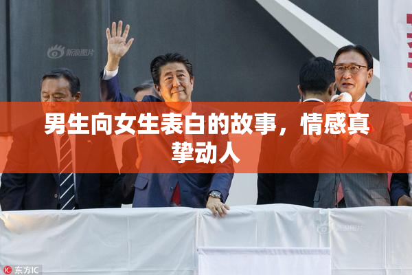 男生向女生表白的故事，情感真挚动人