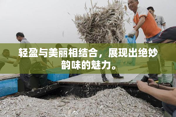 轻盈与美丽相结合，展现出绝妙韵味的魅力。