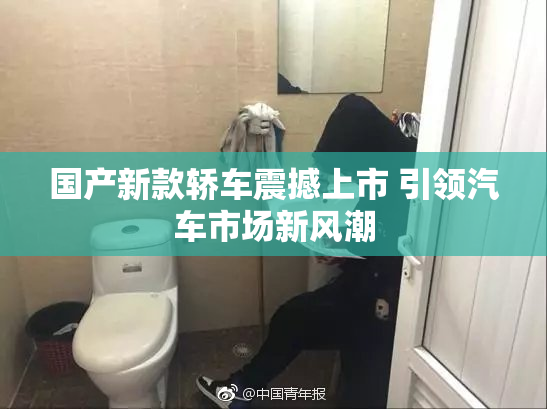 国产新款轿车震撼上市 引领汽车市场新风潮