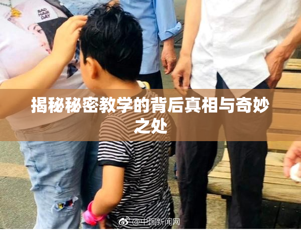 揭秘秘密教学的背后真相与奇妙之处