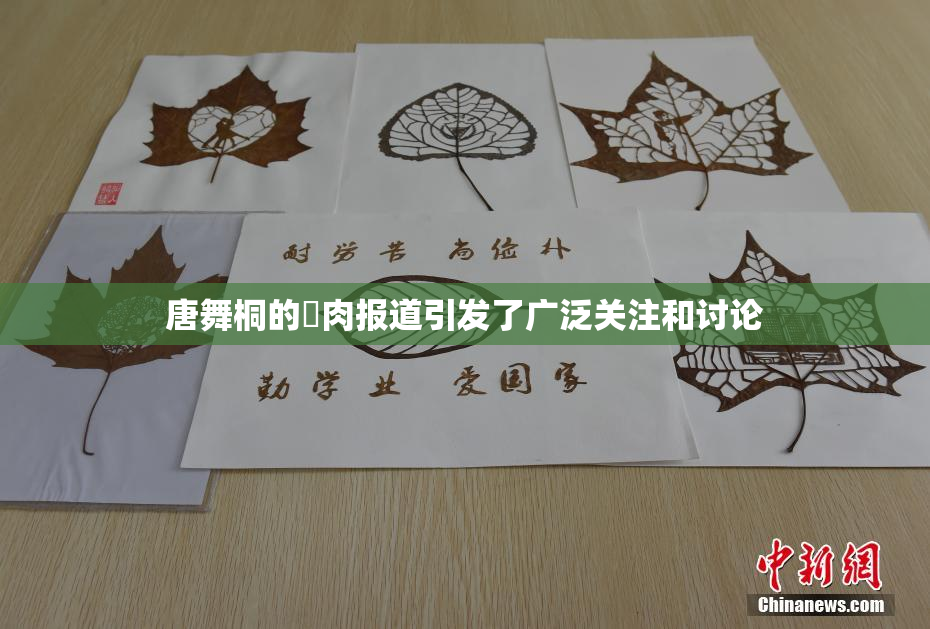 唐舞桐的婬肉报道引发了广泛关注和讨论