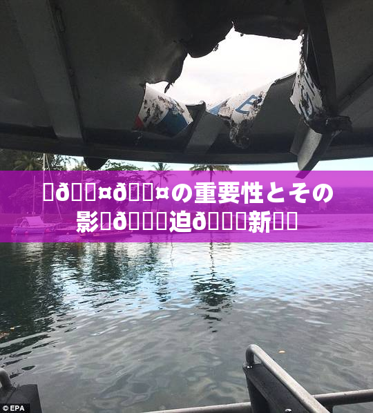 ✿🖤🖤の重要性とその影響🎆迫🌃新発見