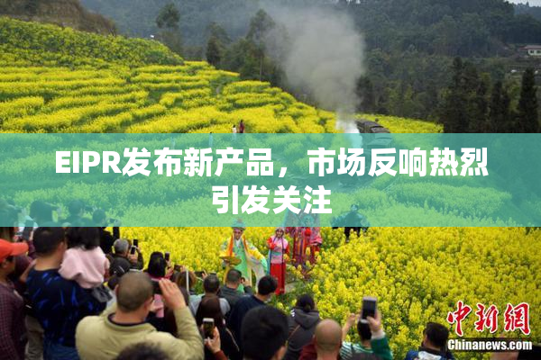 EIPR发布新产品，市场反响热烈引发关注