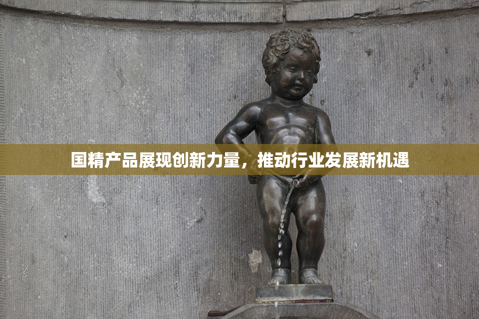 国精产品展现创新力量，推动行业发展新机遇