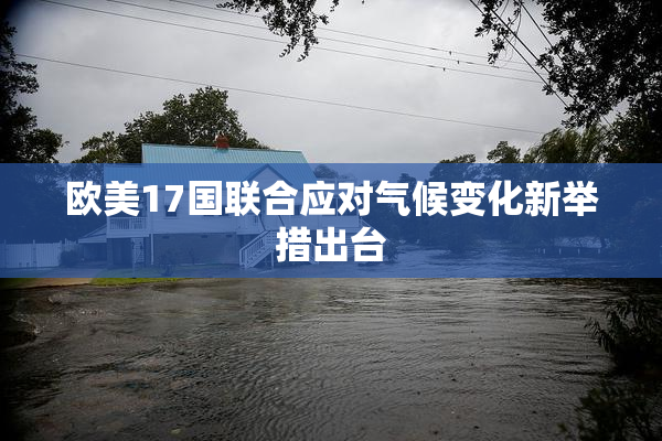 欧美17国联合应对气候变化新举措出台