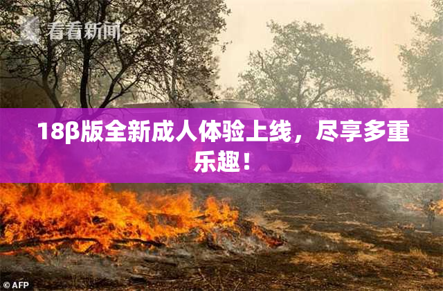 18β版全新成人体验上线，尽享多重乐趣！