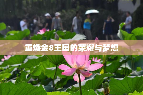 重燃金8王国的荣耀与梦想