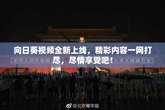 向日葵视频全新上线，精彩内容一网打尽，尽情享受吧！