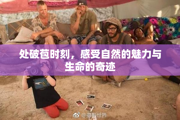 处破苞时刻，感受自然的魅力与生命的奇迹