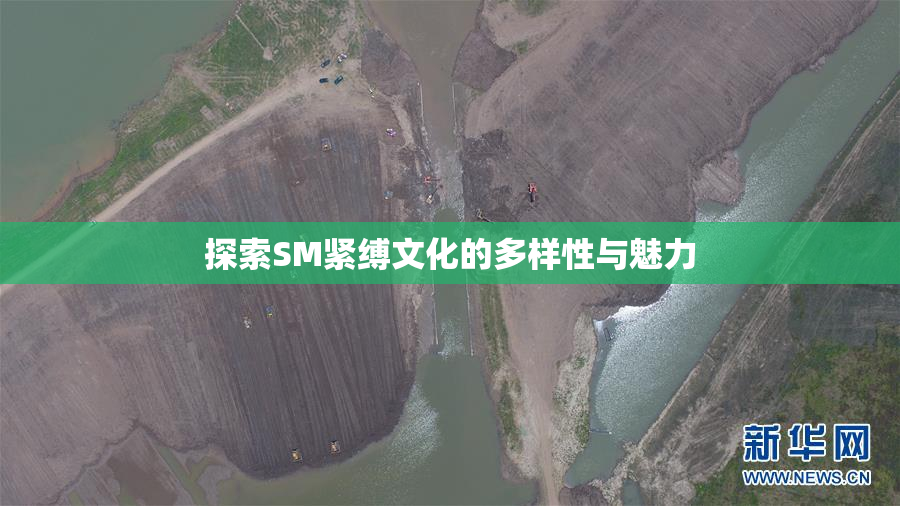 探索SM紧缚文化的多样性与魅力