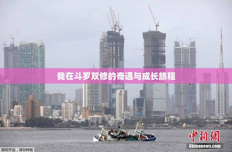 我在斗罗双修的奇遇与成长旅程