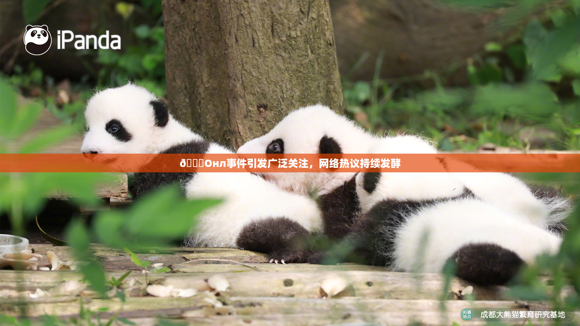 🐔Oнл事件引发广泛关注，网络热议持续发酵