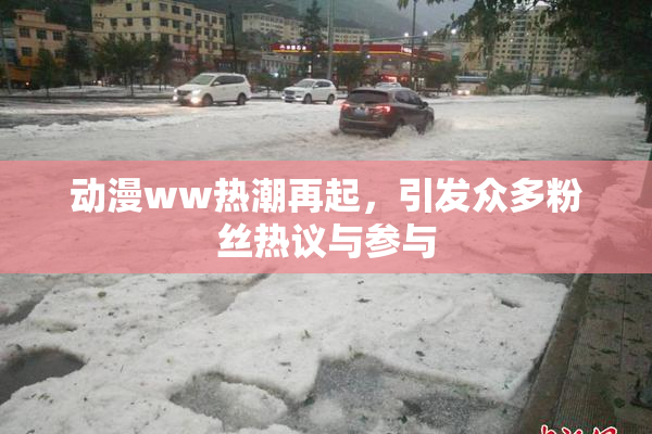 动漫ww热潮再起，引发众多粉丝热议与参与