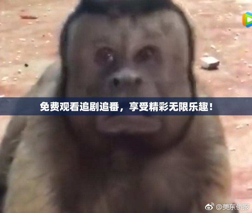 免费观看追剧追番，享受精彩无限乐趣！