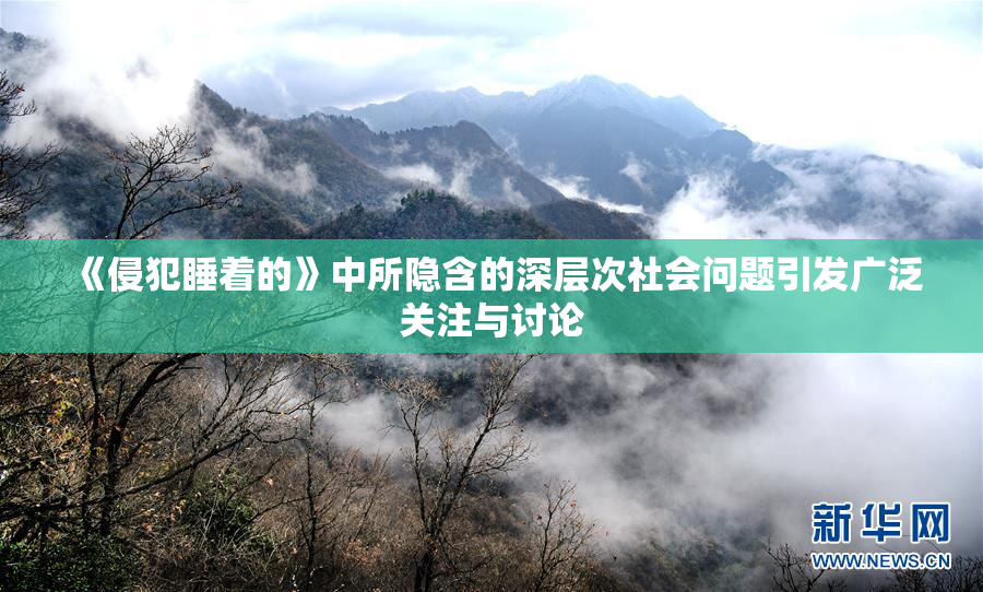 《侵犯睡着的》中所隐含的深层次社会问题引发广泛关注与讨论