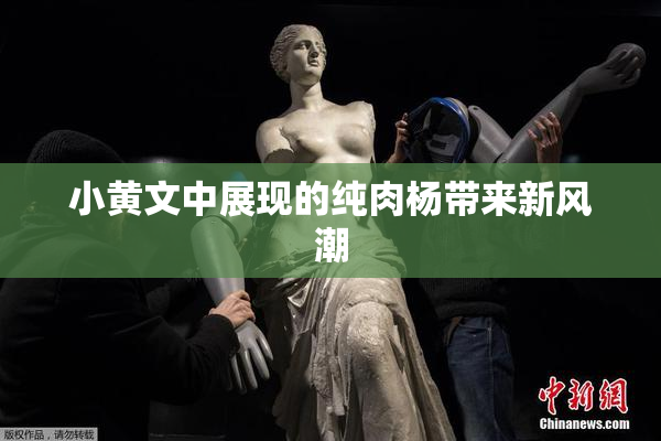 小黄文中展现的纯肉杨带来新风潮